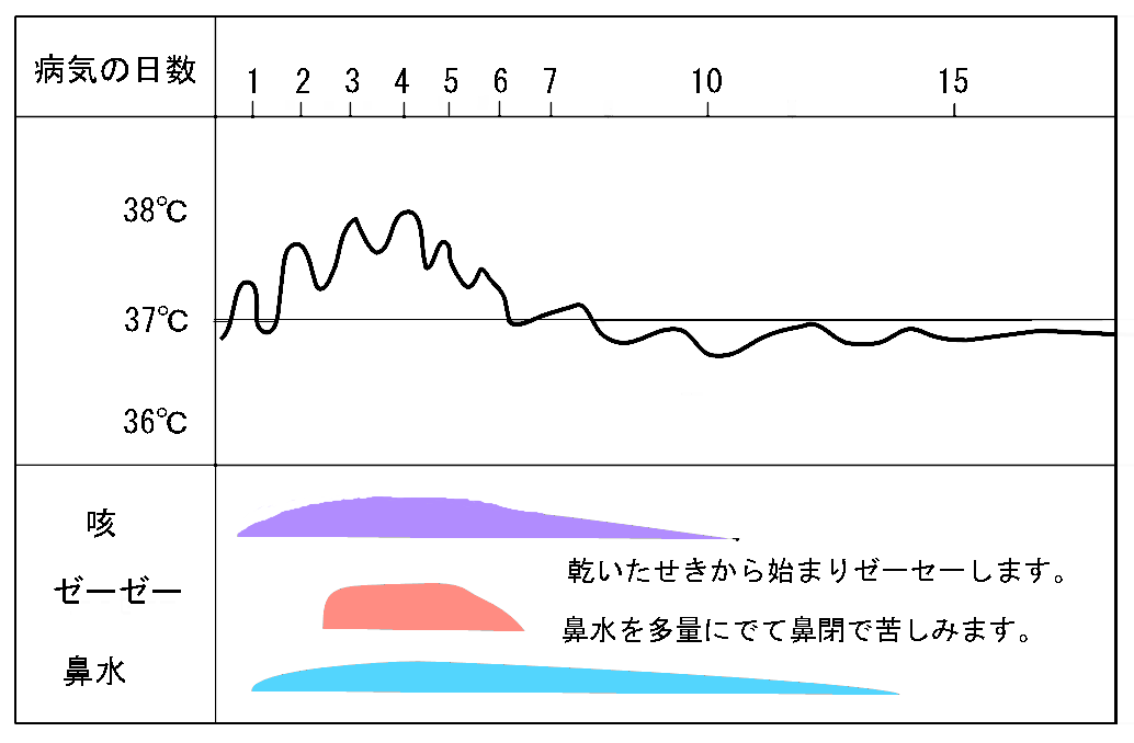 気管支炎の経過の画